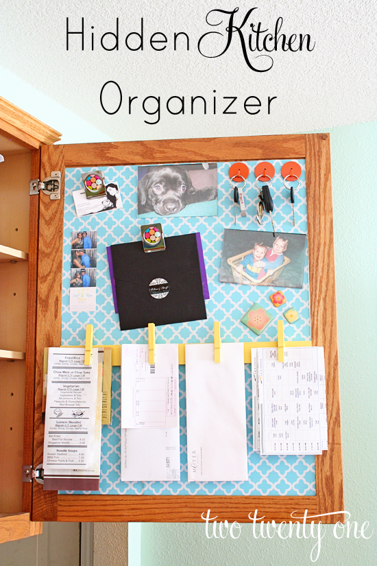 hidden kitchen organizer