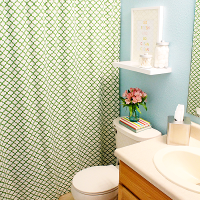 Guest Bathroom Reveal and Makeover {DIY}