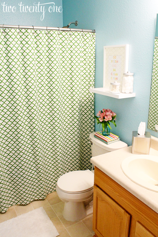 Guest Bathroom Reveal and Makeover {DIY}