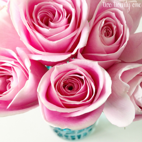 pink roses