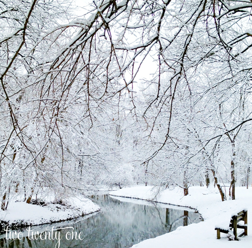 snowy park