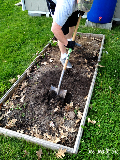 how to prepare a vegetable garden