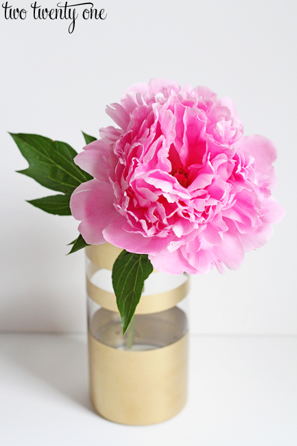 pink peony in gold vase