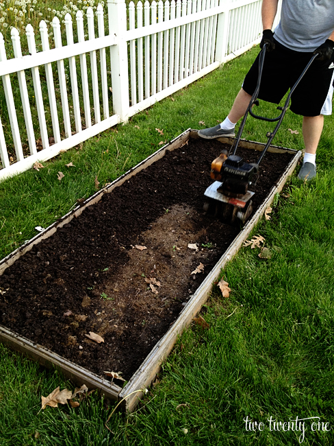 preparing a vegetable garden