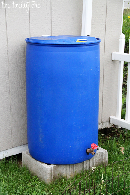 DIY rain barrel