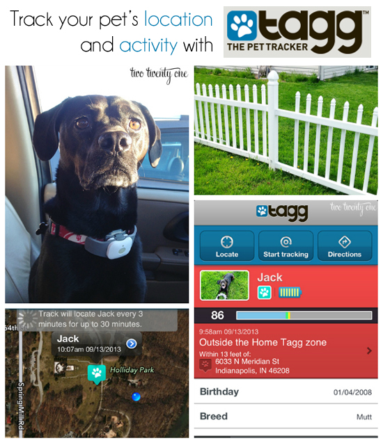 Tagg The Pet Tracker