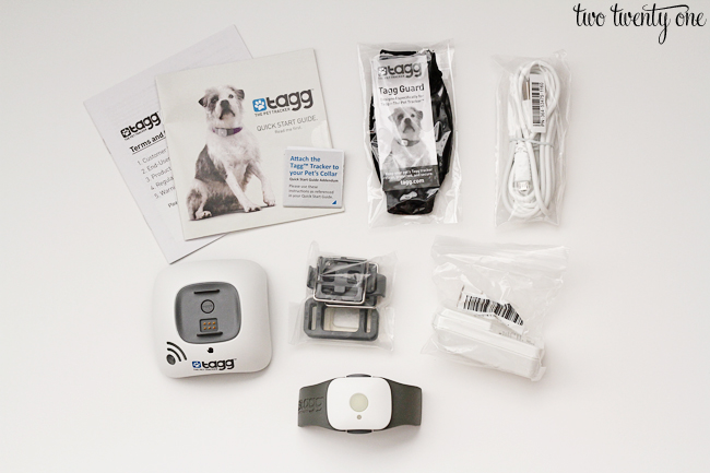 tagg the pet tracker