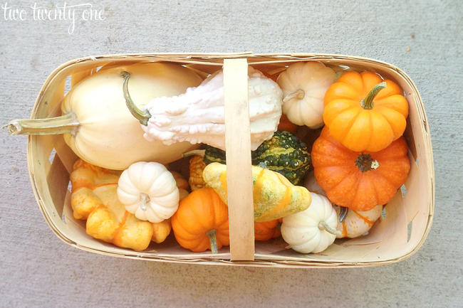 basket of gourds