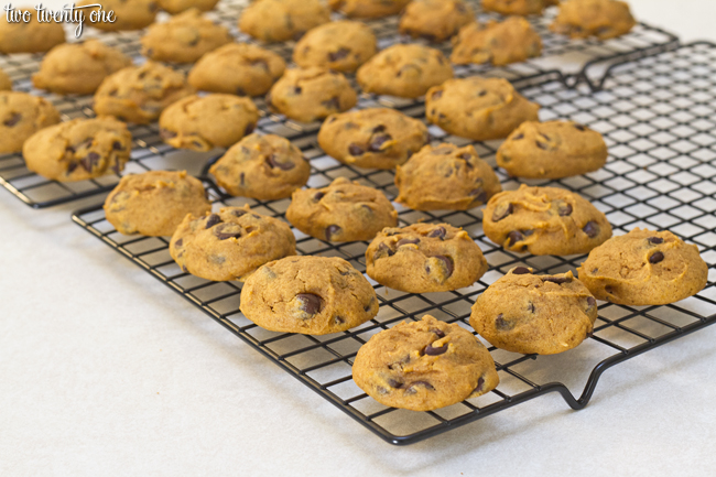 The BEST Pumpkin Chocolate Chip Cookies