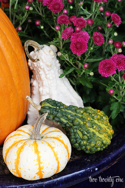 gourds