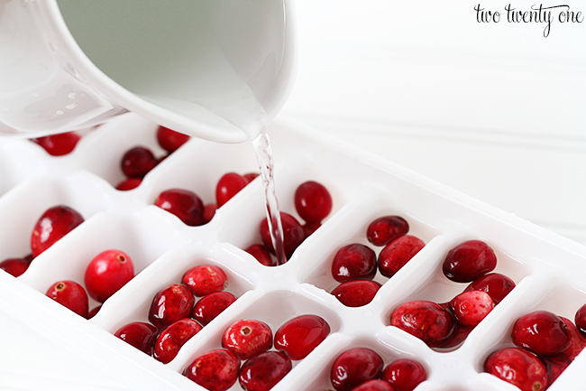 cranberry ice cubes