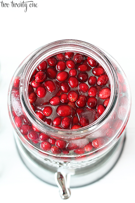 cranberry icecubes