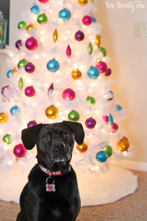 White Christmas Tree — Our Big Christmas Tree 2013