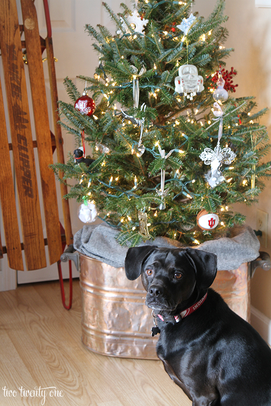 jack in front of sentimental tree