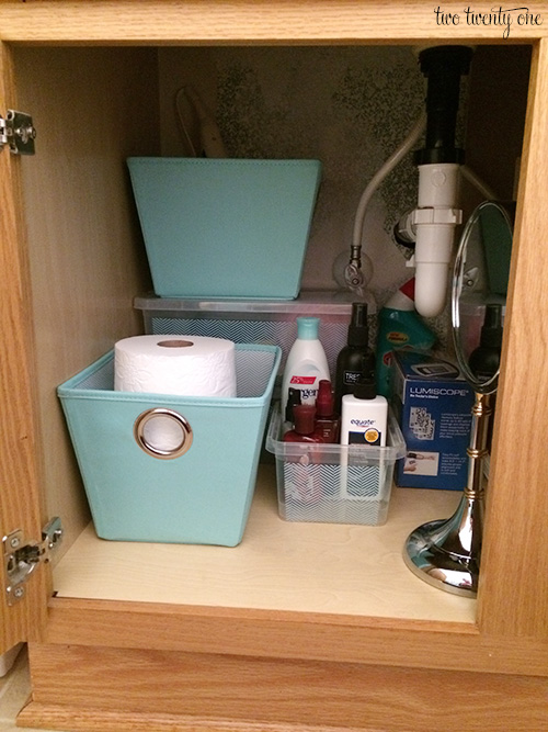 Deep Guest Bathroom Under-Sink Organization