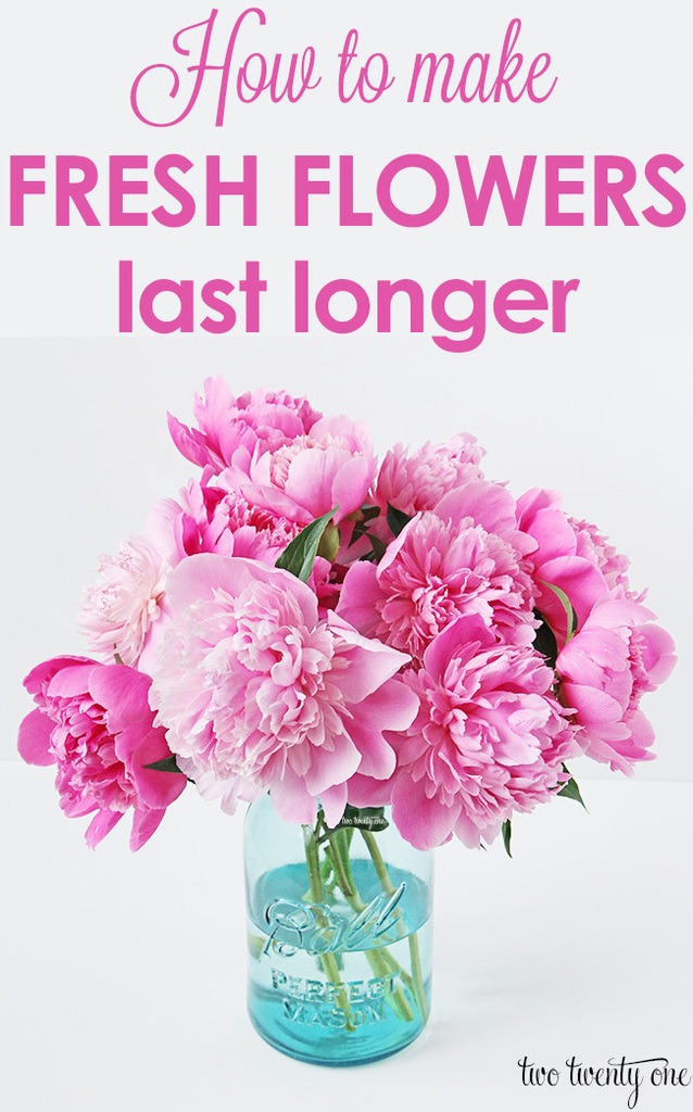 GREAT tips on how to make fresh flowers last longer!