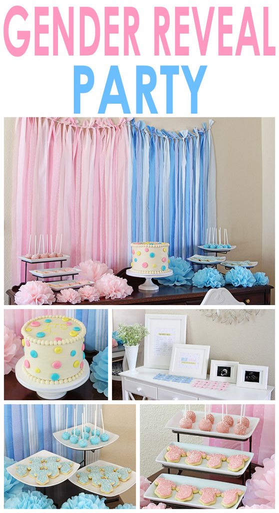 Gender Reveal Party Decorations Baby Shower Blue Pink Tissue Paper Pom  Flowers