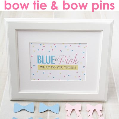 Gender Reveal Party Pins