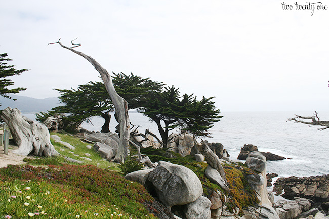 17 mile drive