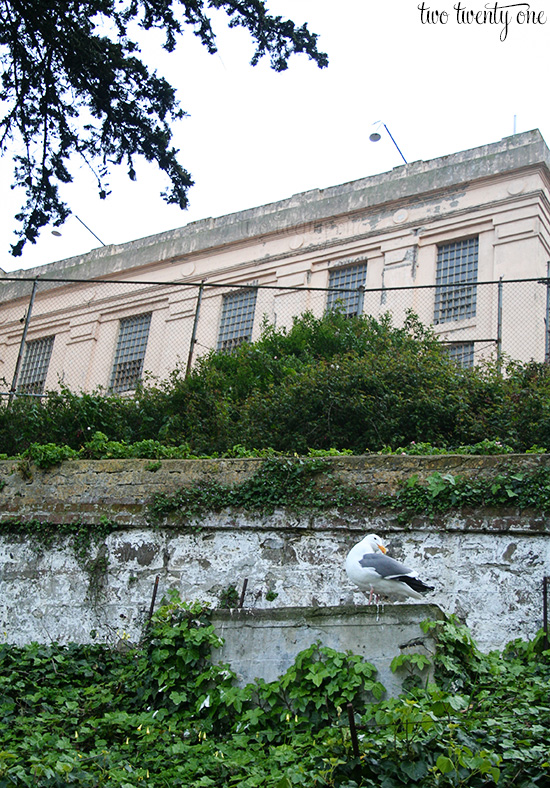 alcatraz 3