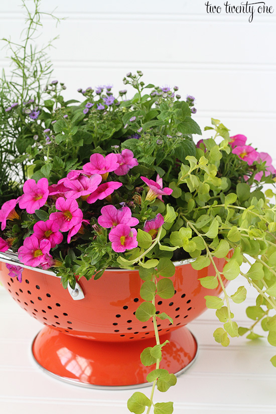 Colander Flower Planter