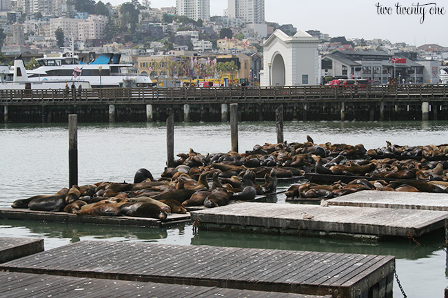 Photos at Lefty's - The Left Hand Store - Fishermans Wharf - Pier 39