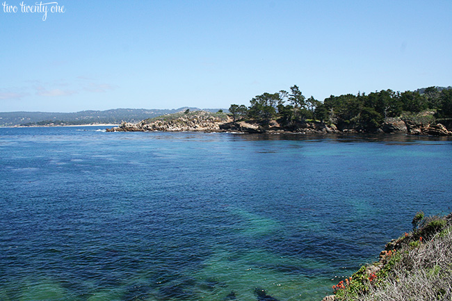 point lobos 14