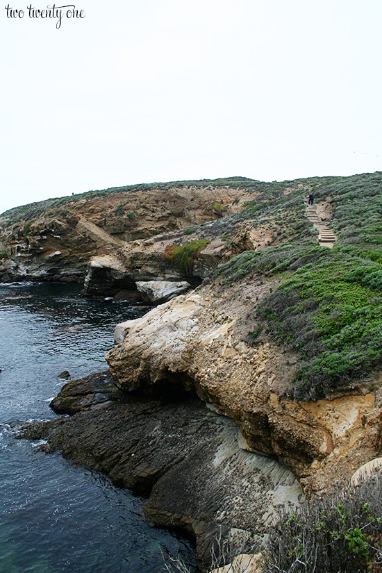 point lobos 2