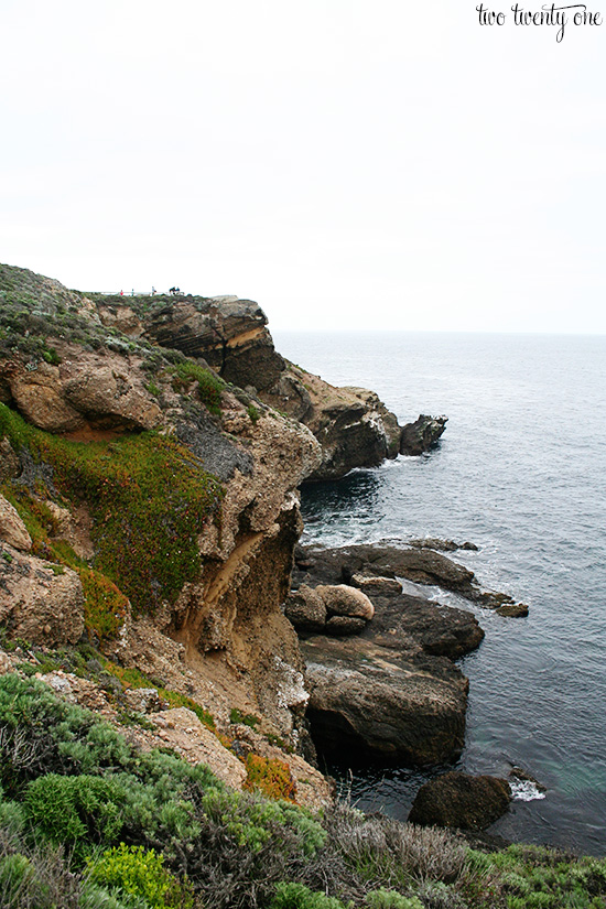 point lobos 3