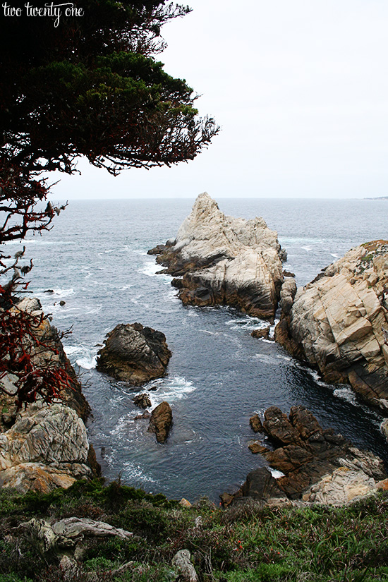 point lobos 5