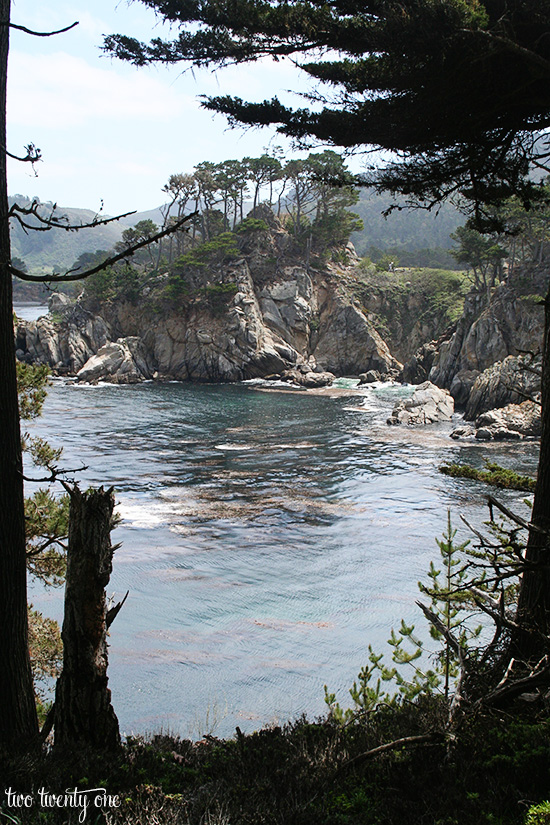 point lobos 9