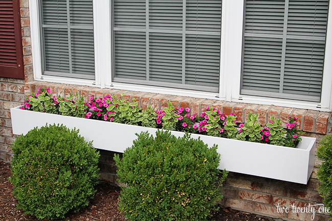 white window box