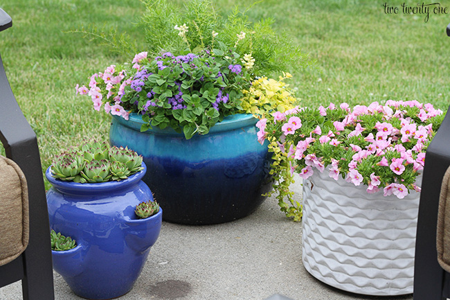 container garden