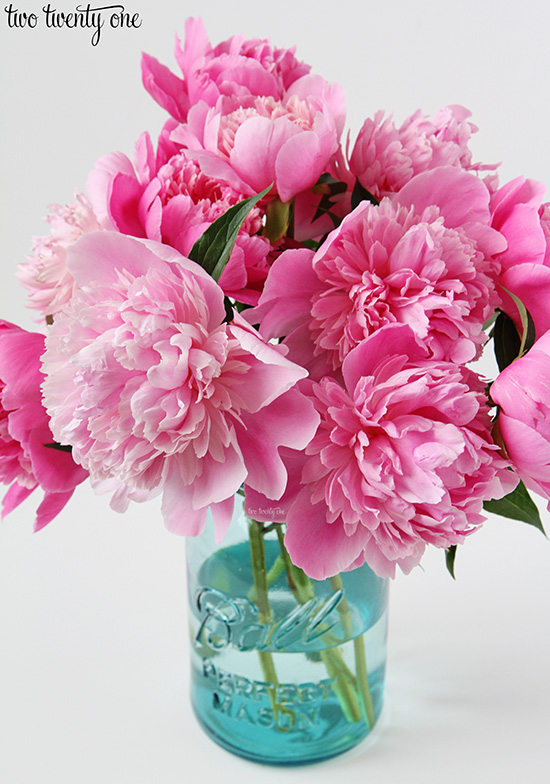 fresh cut peonies