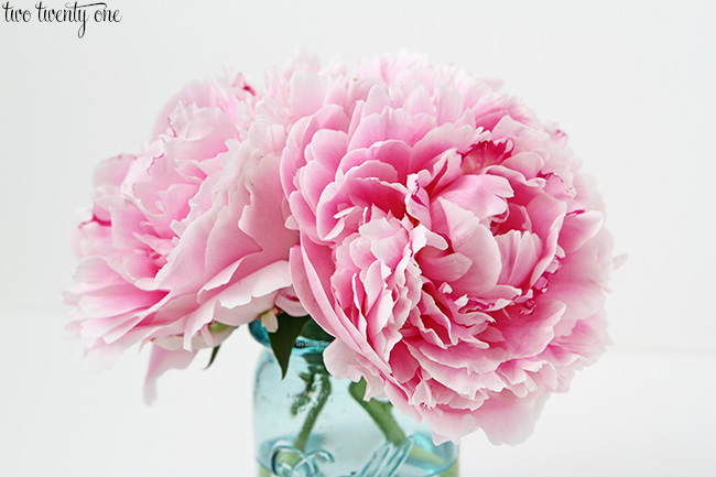 pink peonies