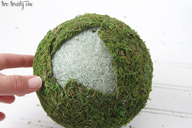 moss balls 6