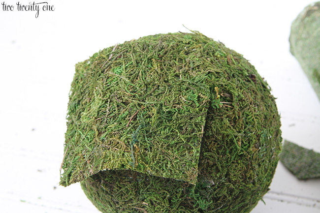 moss balls 7