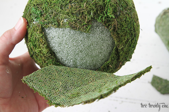 moss balls 8