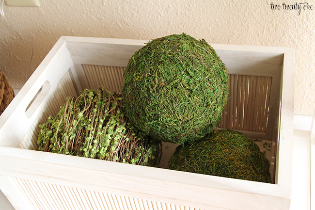 moss balls