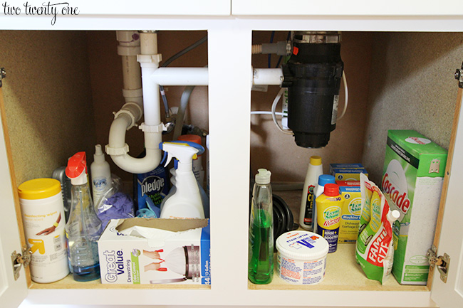 under kitchen sink before