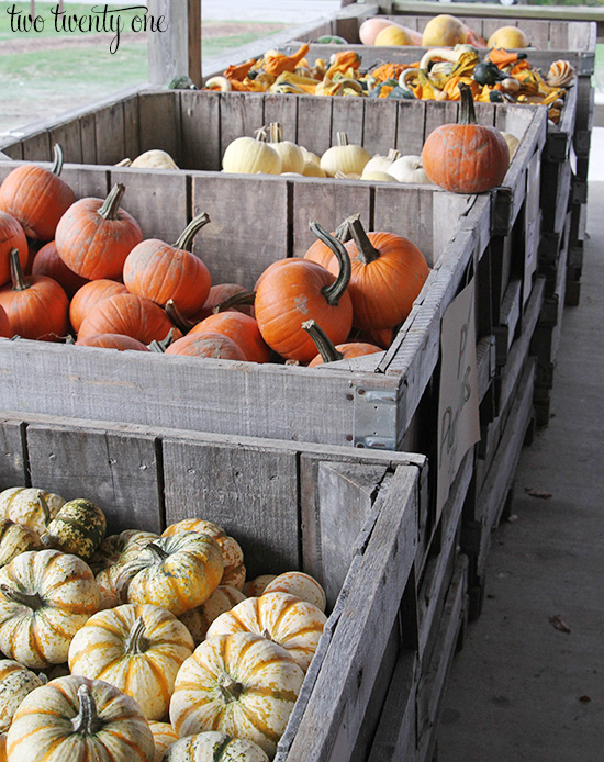 anderson orchard