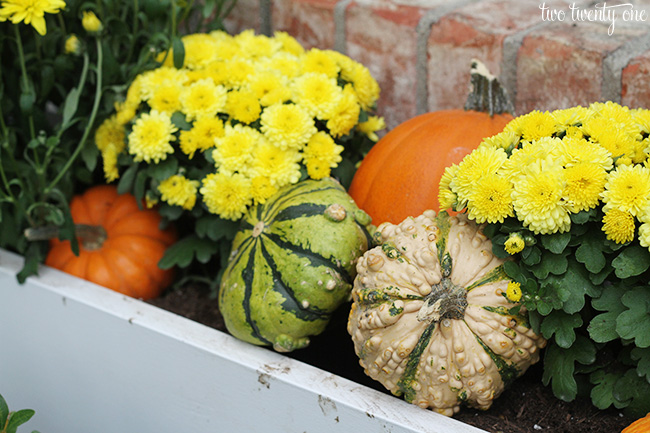 fall flower window box 1