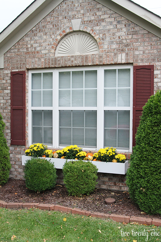 fall flower window box