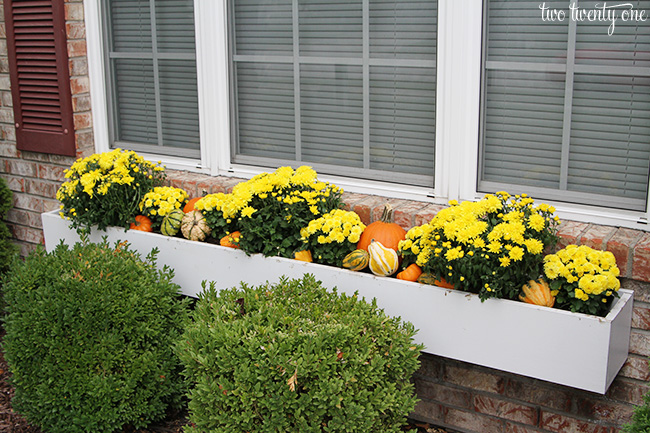 fall window box decor