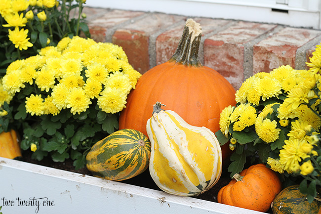 fall window box