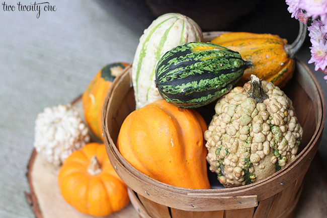 gourds