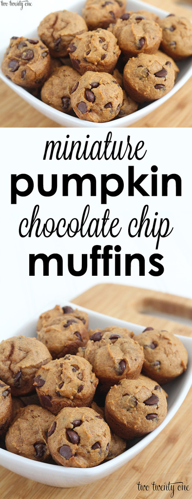 The BEST mini pumpkin chocolate chip muffins!