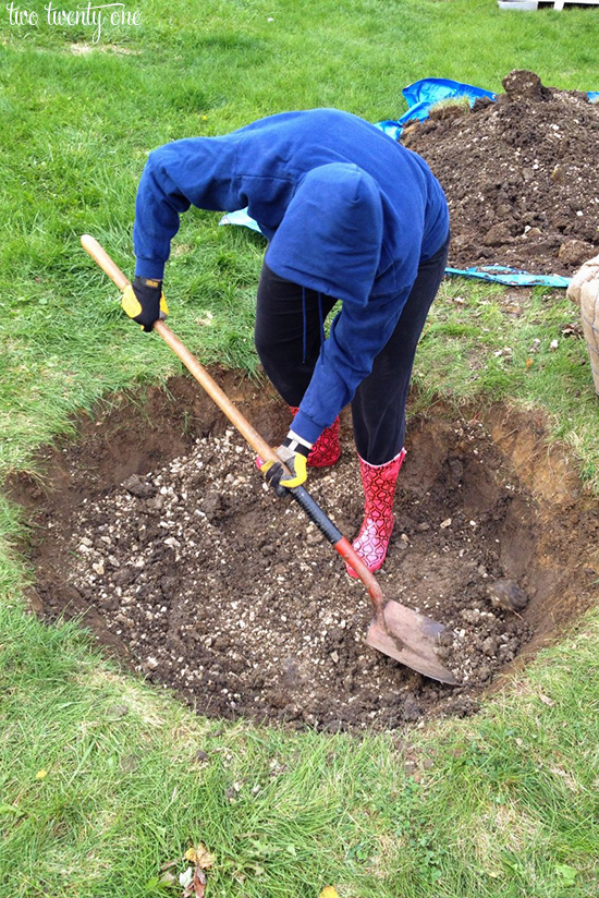 planting a tree