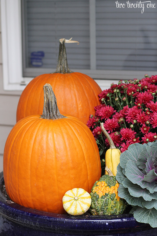 pumpkins and gourds