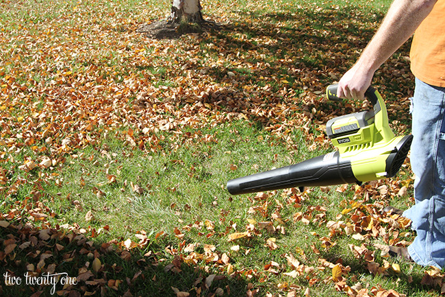 fall lawn maintenance